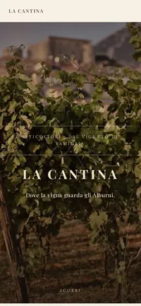 La prima schermata del sito della cantina, vista da telefono