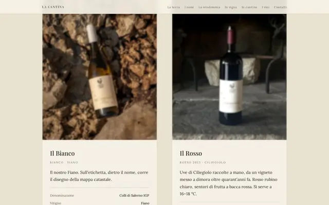 La sezione dei vini del sito della cantina, vista da computer